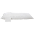 Hotel Polyester Body Pillow With Cotton Percale WHite Cover